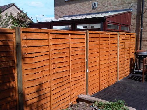 Fence panels, replacing fence panels in Cambridge, Cambridgeshire. New fence, Fence repaired. 