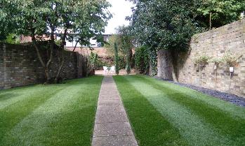 Cambridge Garden Maintenance and Landscaping services. Cambridge, England 