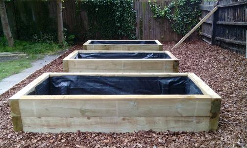 Raised beds, planters, growing vegetables in garden Cambridge, Cambridgeshire