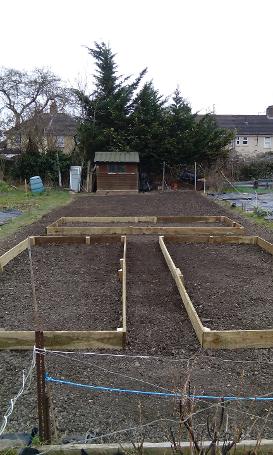 Cambridge gardener allotment