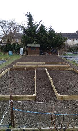 Cambridge gardener allotment 