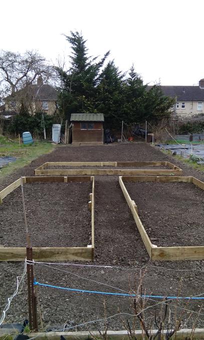 Cambridge gardener allotment
